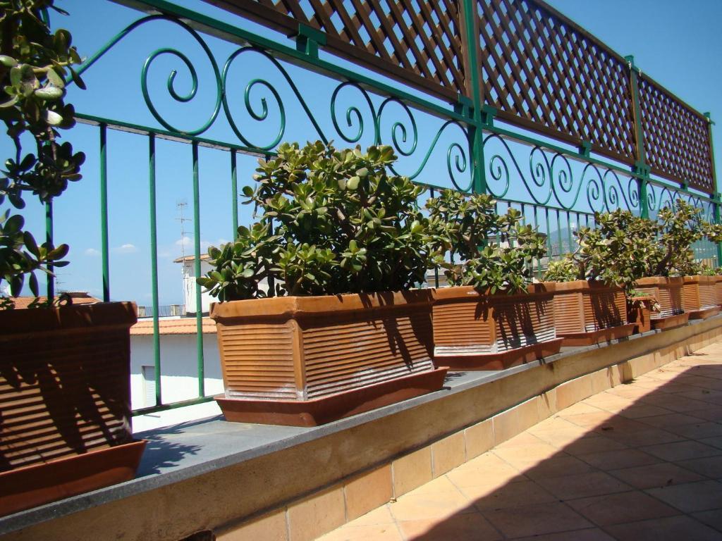 Sorrento Inn Guesthouse Extérieur photo